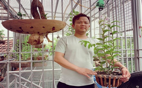 Anh nông dân nghèo bỗng chốc đổi đời, thu nhập gấp chục lần nhờ loại cây nhiều người mê